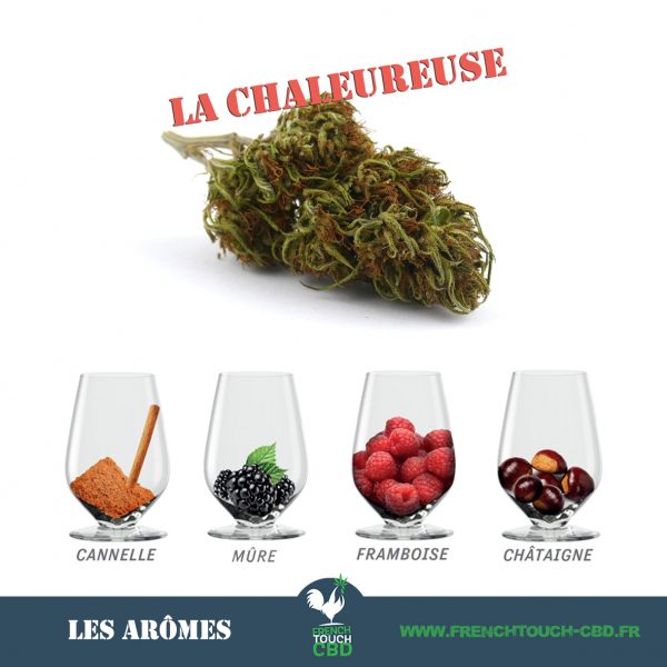La chaleureuse
