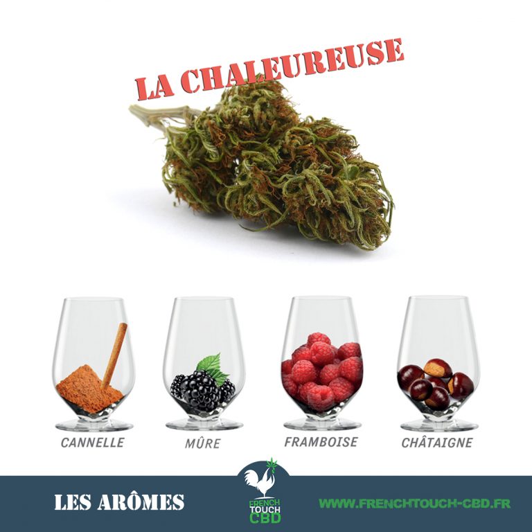 La chaleureuse