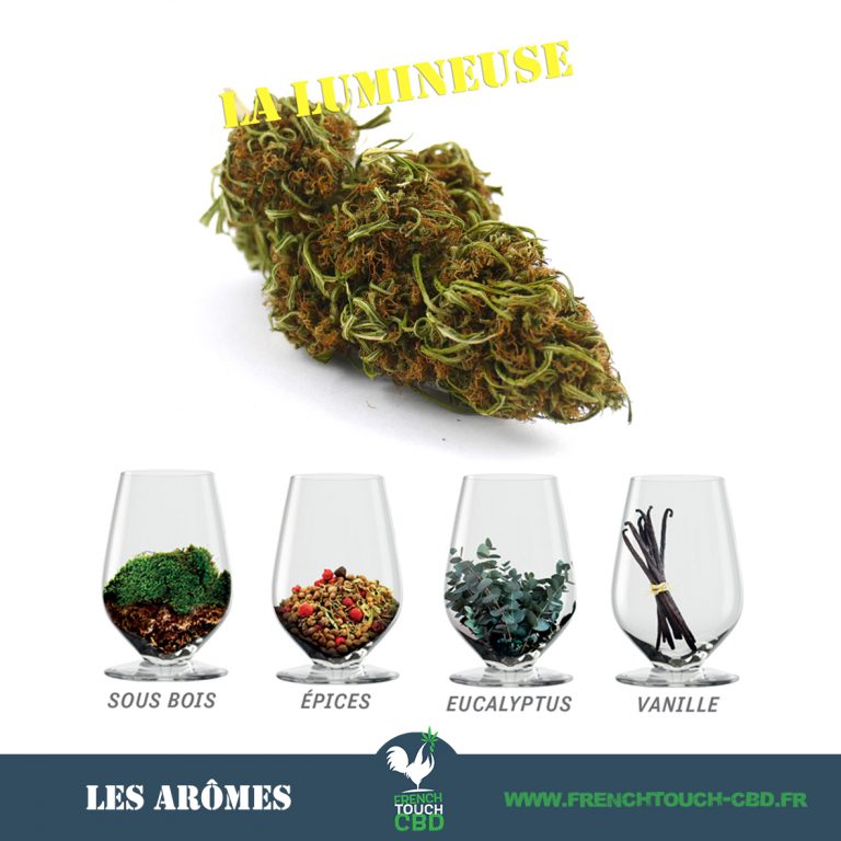 La lumineuse SILVER Aromes