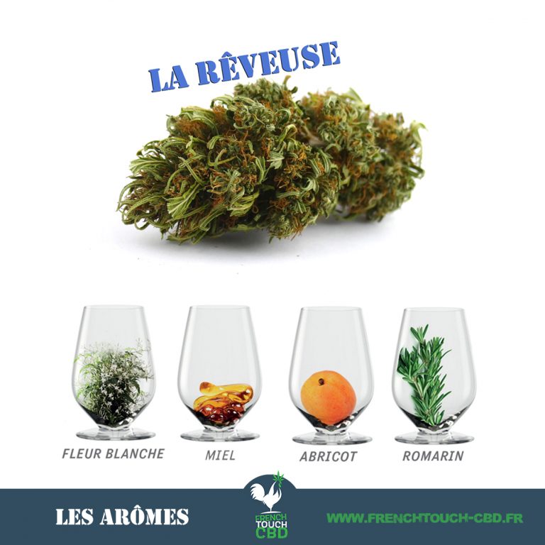 La rêveuse