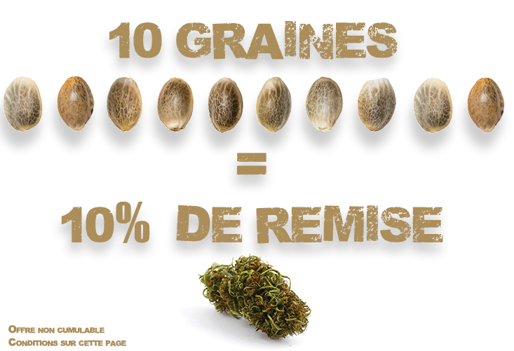 10 graines=10%